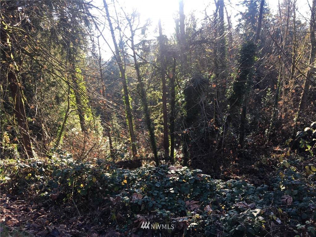 194 XX Forest Park Drive - Photo 1