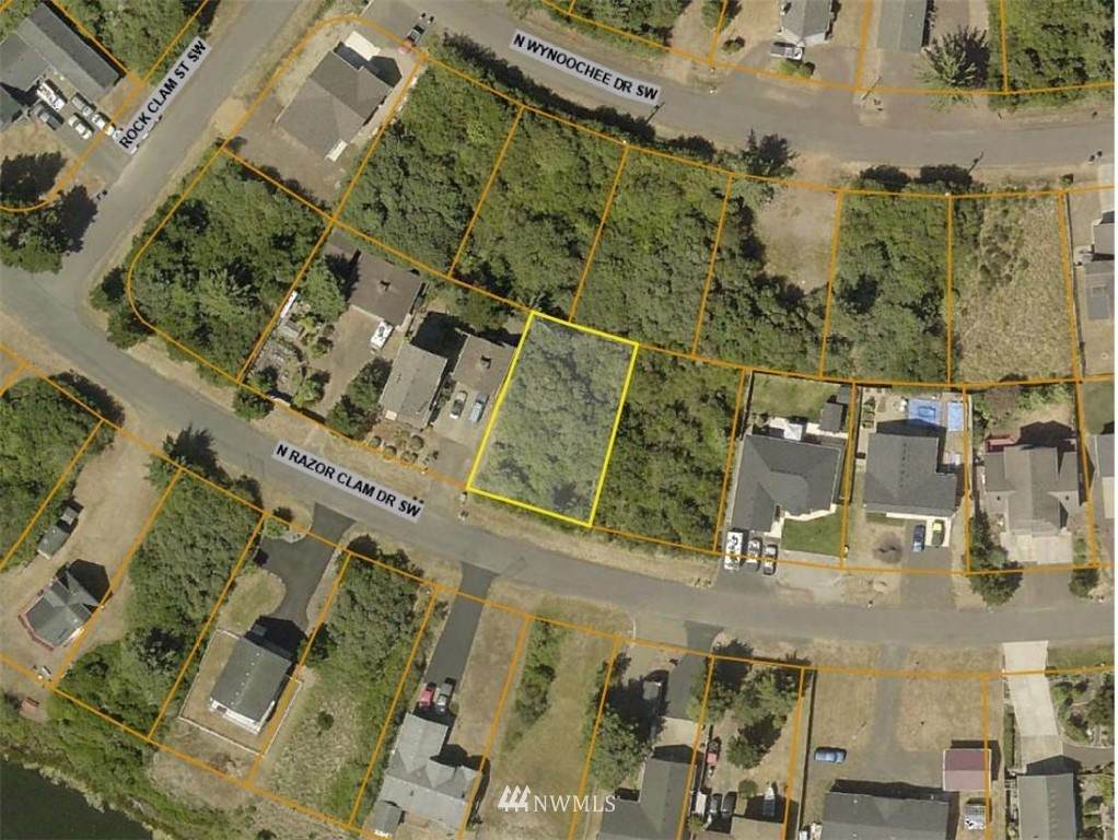 184 Razor Clam Drive - Photo 1