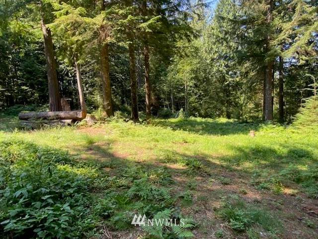37526 191st Street - Photo 1