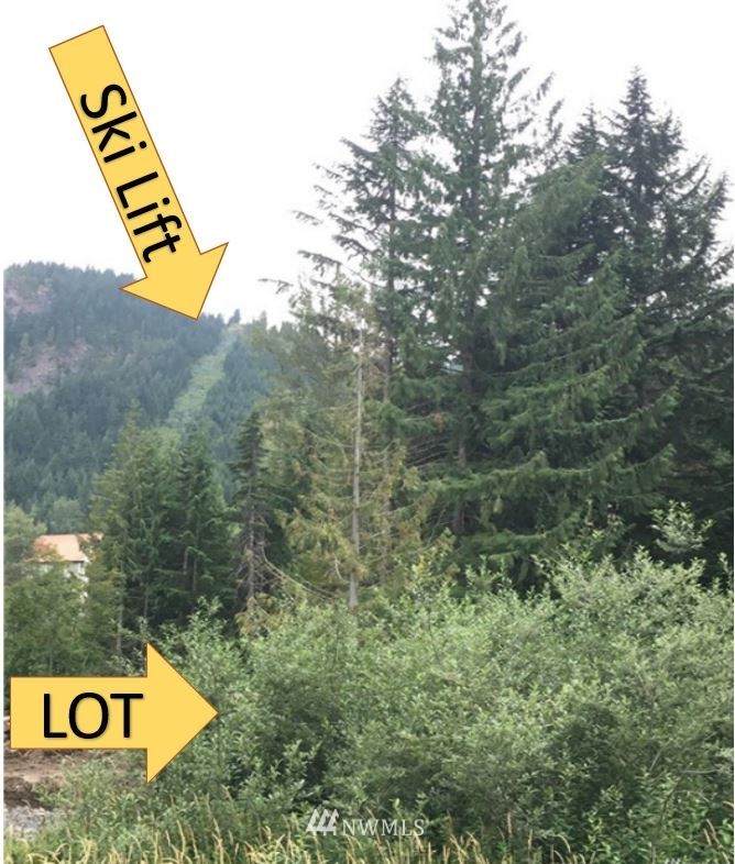 0 Keechelus Dr - Photo 1