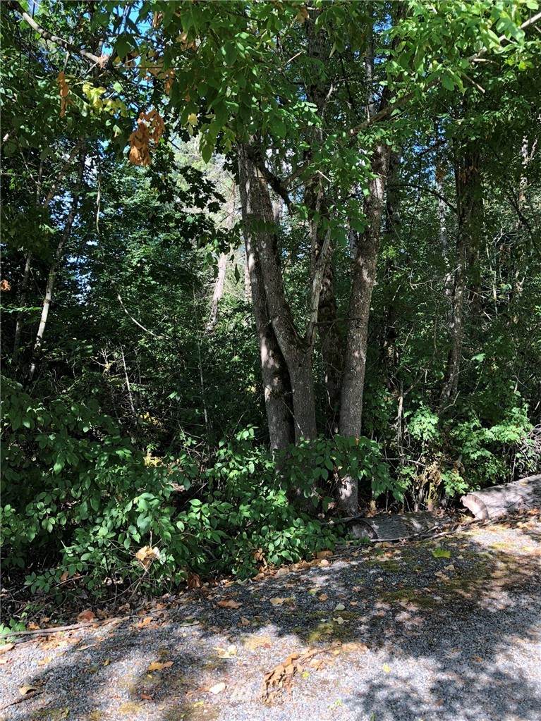 280 132nd Avenue - Photo 1