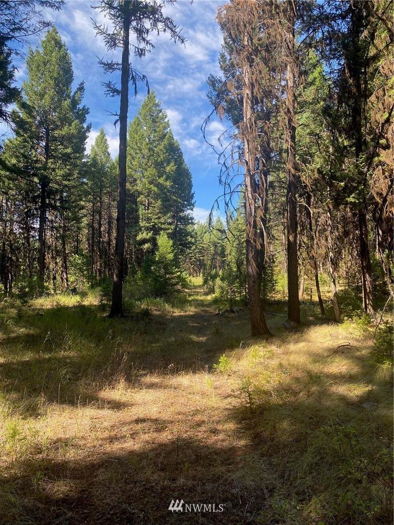 425 Pontiac Ridge Rd - Photo 1