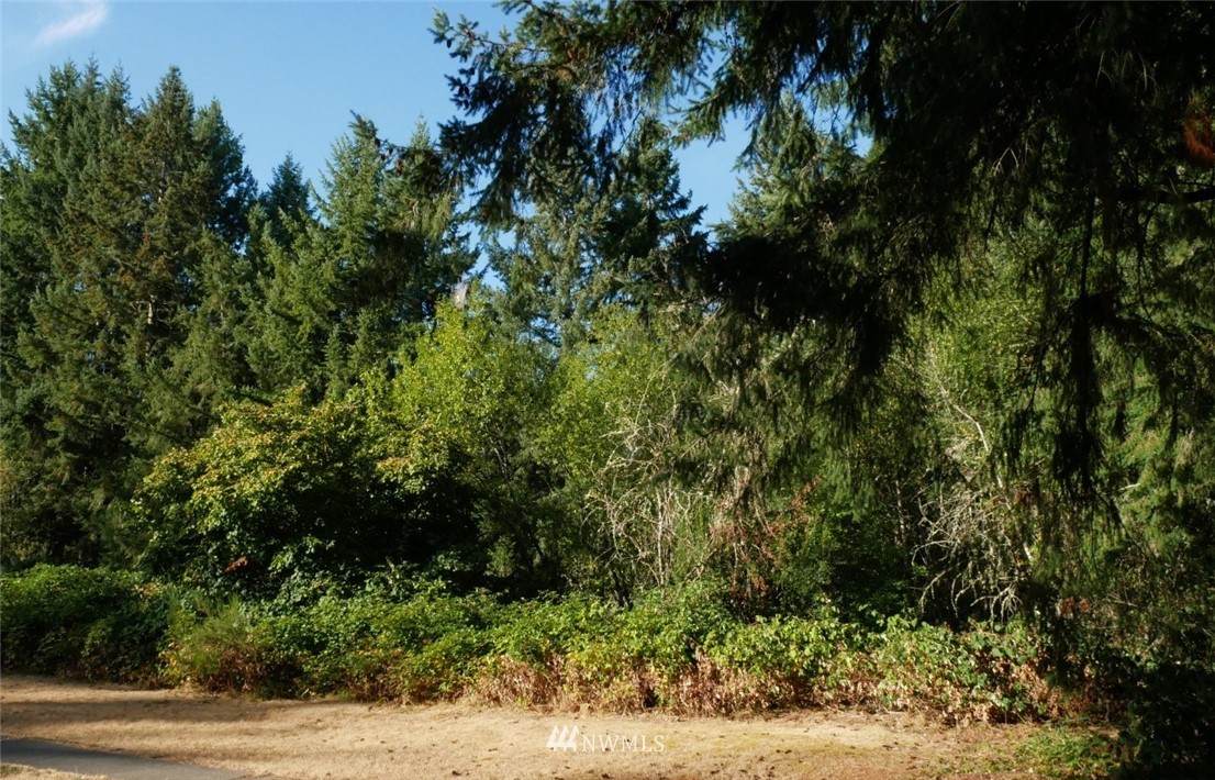 6428 5th Way - Photo 1