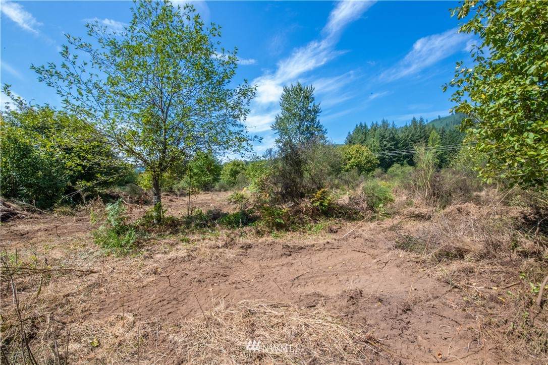 232 Lot E1 Wild Daisy Drive - Photo 1