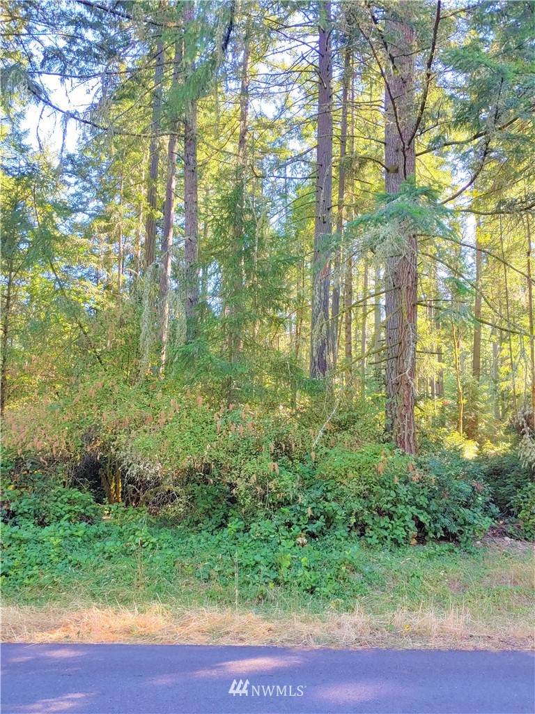 11404 Country Club Drive - Photo 1