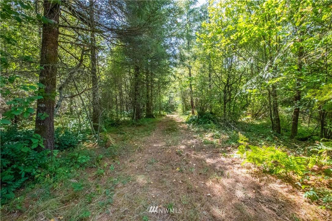 148 Lot E2 Wild Daisy Drive - Photo 1