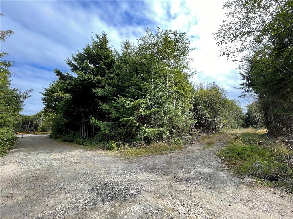 28 Chester Avenue - Photo 1