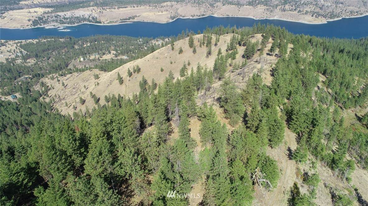 44800 Royal Drive - Photo 1