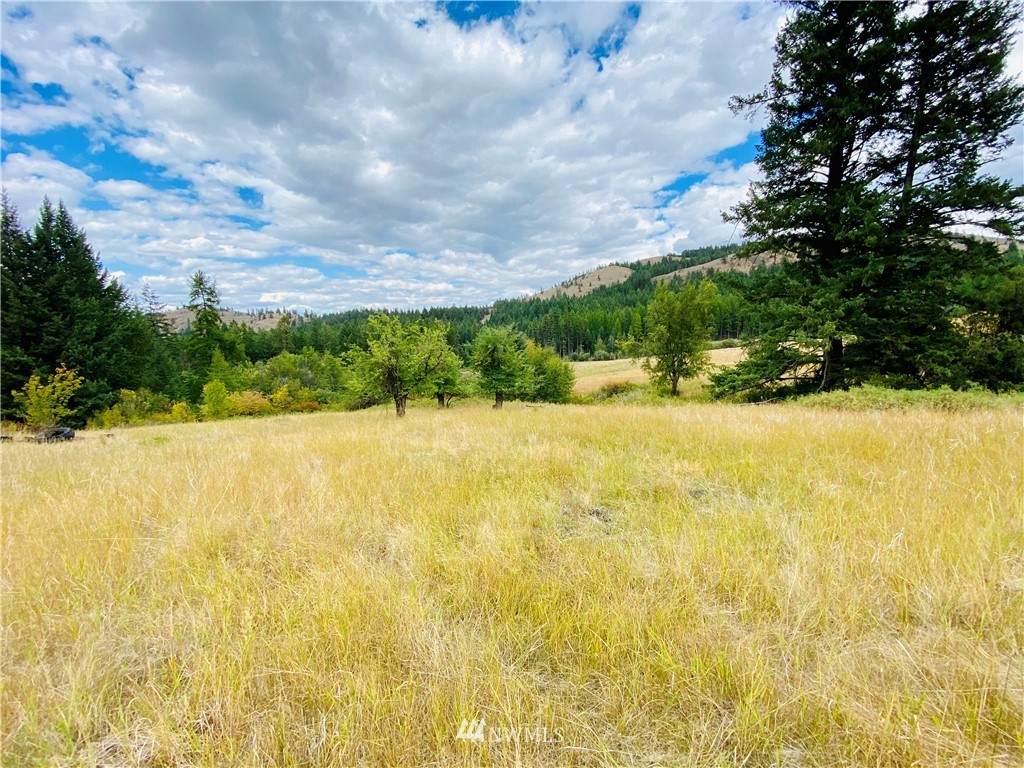 219 Wolfe Camp Road - Photo 1