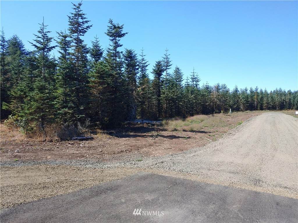 15 Middle Satsop Road - Photo 1
