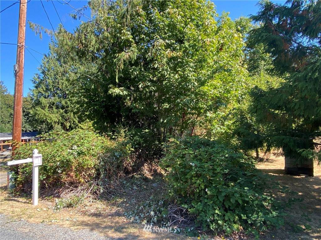 2 Lots Alaska Avenue - Photo 1