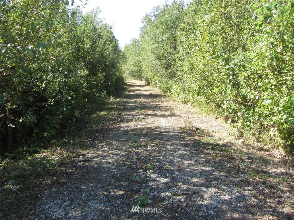 0 XXX Humphrey Hill Road - Photo 1