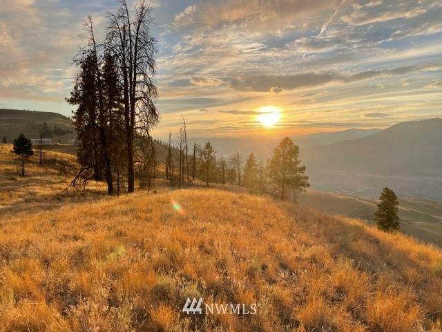 160 Chelan Hills Acres Road - Photo 1