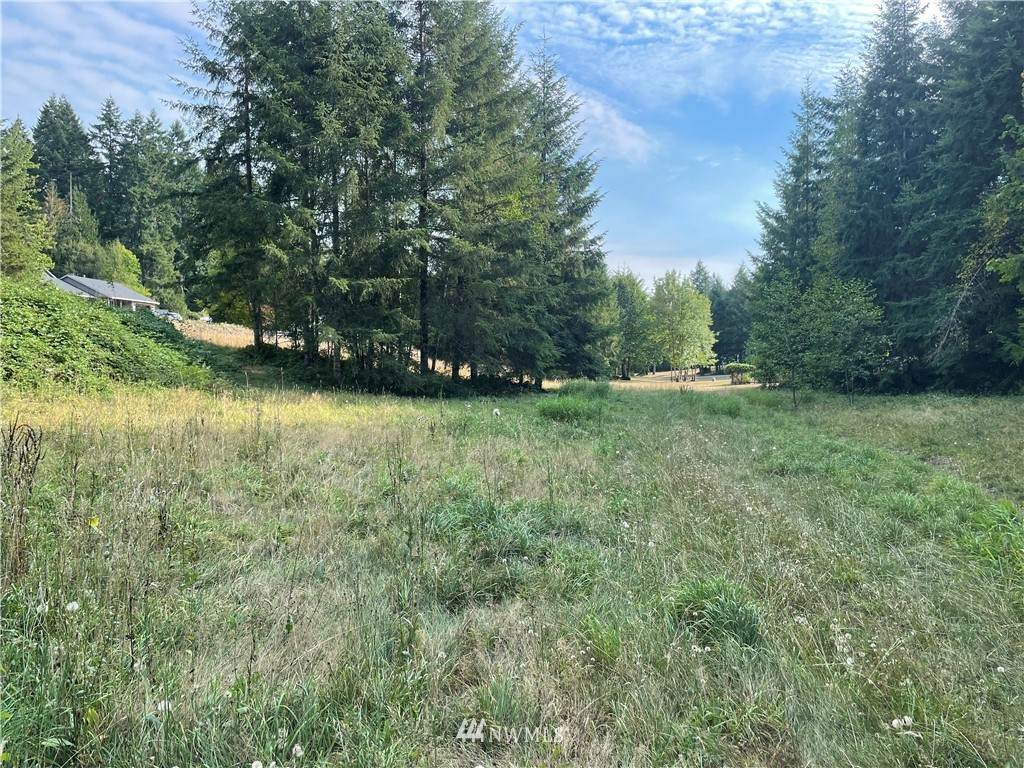 0 Owens Road - Photo 1