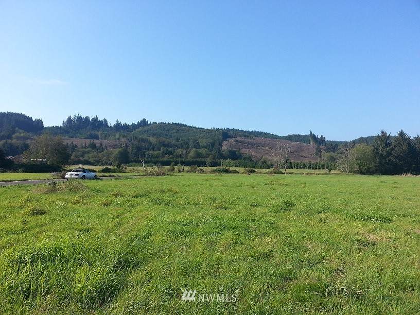 0 Lot 4 Nature Loop - Photo 1