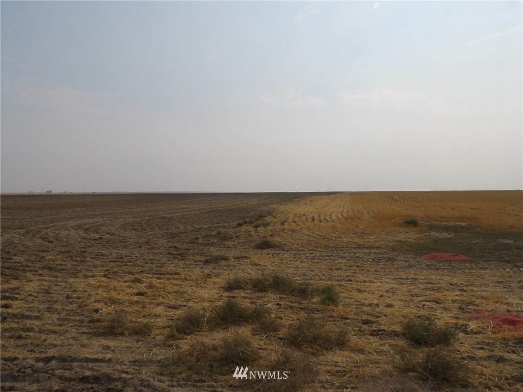 0 Klein Road - Photo 1