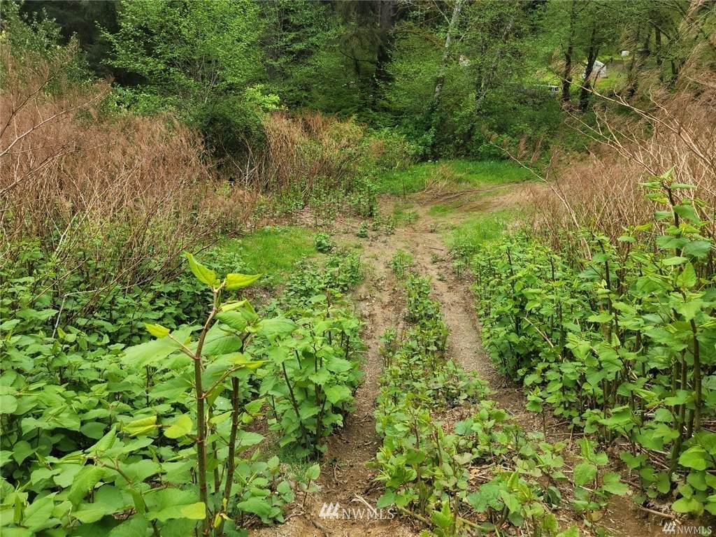 411 6th Avenue - Photo 1