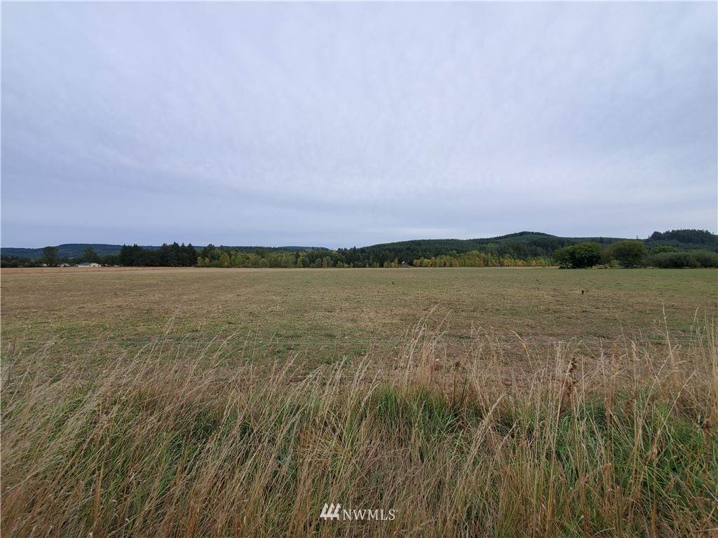 637 Boistfort Rd - Photo 1