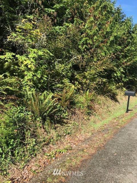 34383 Bridge View Drive - Photo 1