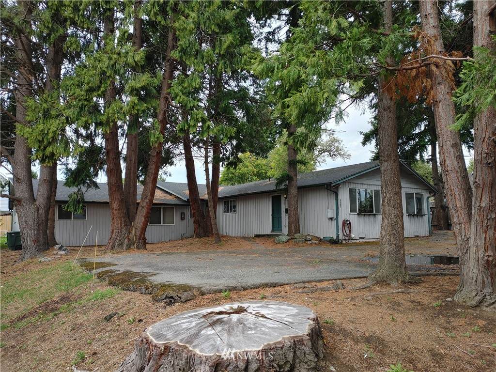 2321 Ellis Street - Photo 1