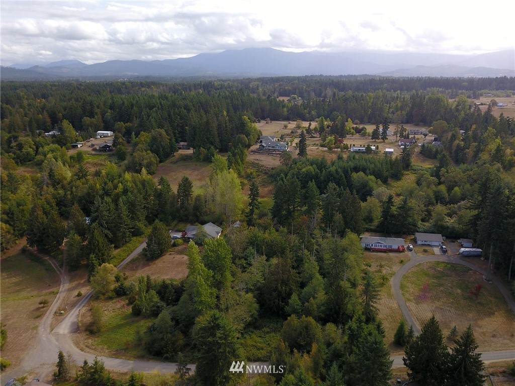 9999 Cline Cabin Lane - Photo 1