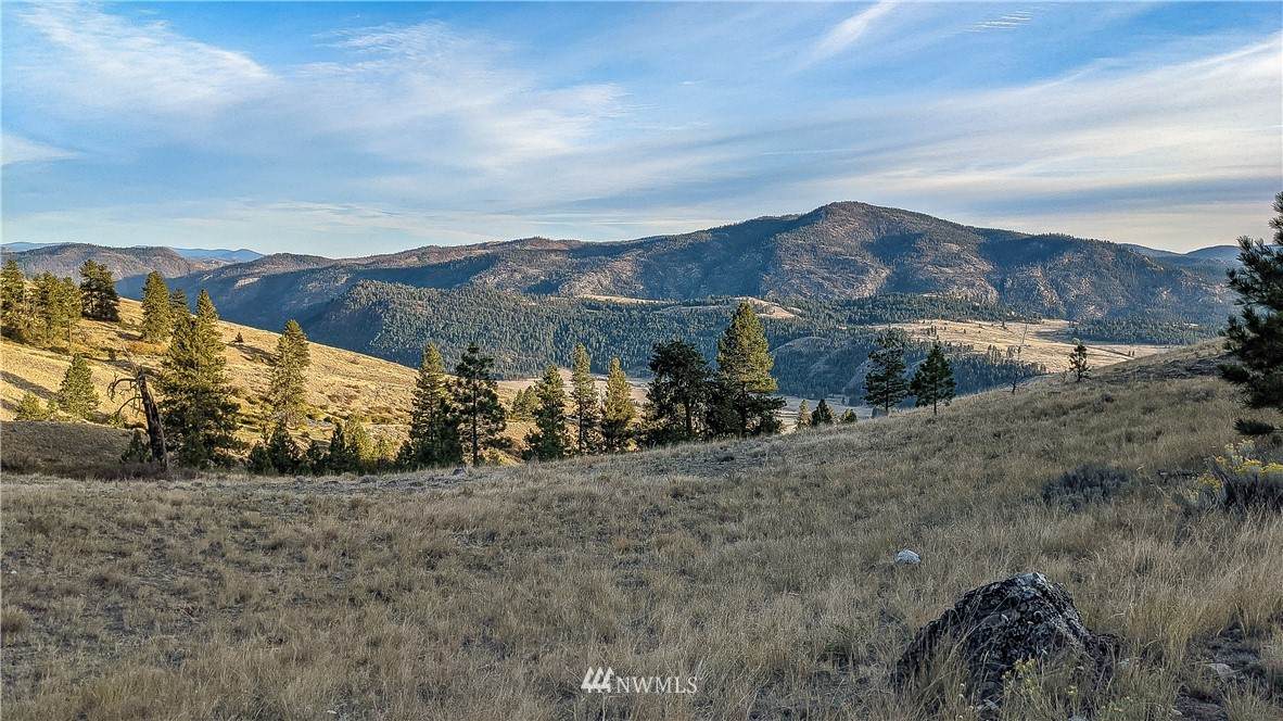 1005 Frosty Creek - Photo 1
