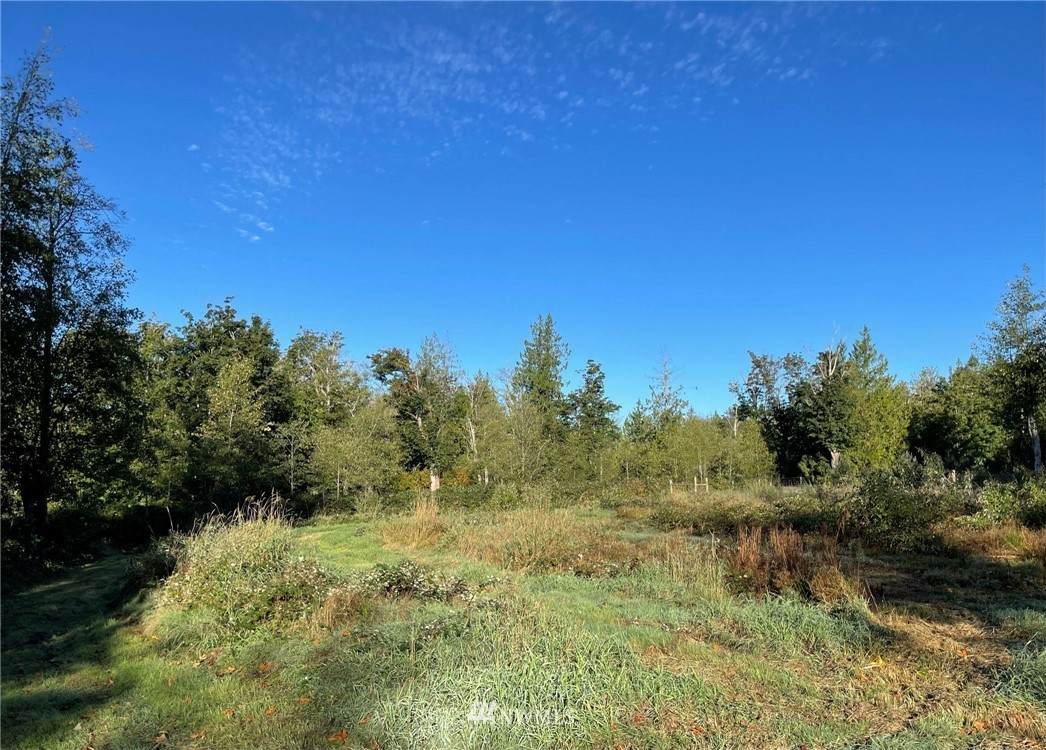 7833 Renic Drive - Photo 1