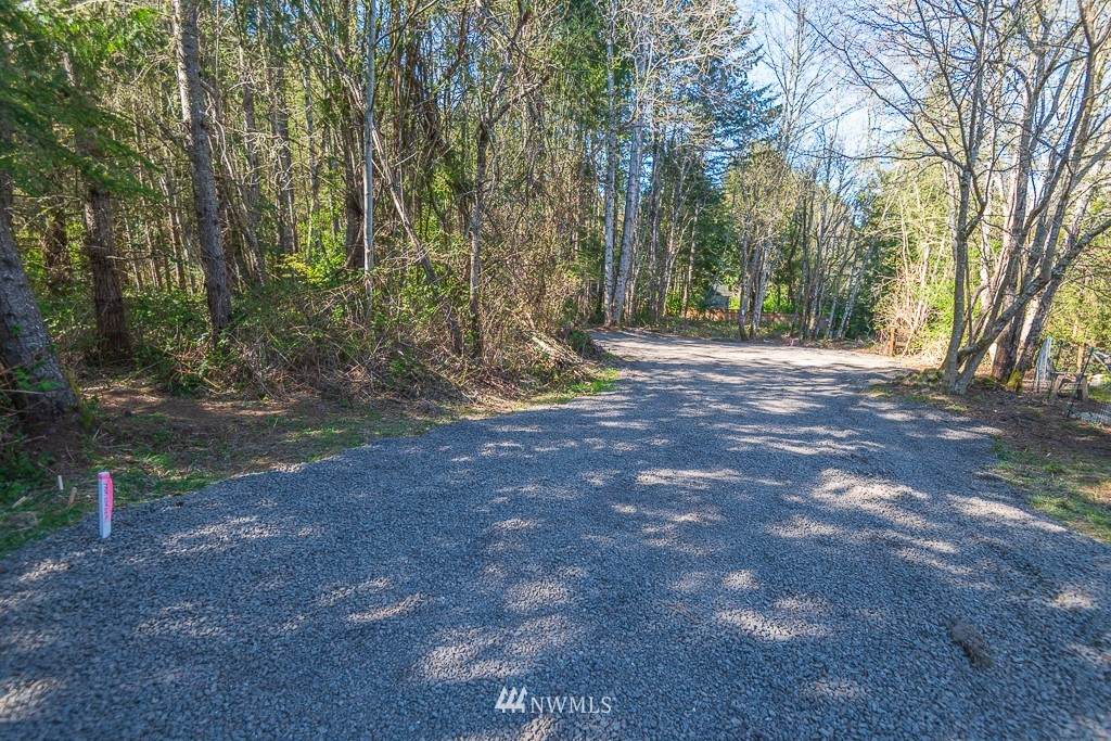 11303 Miller Road - Photo 1