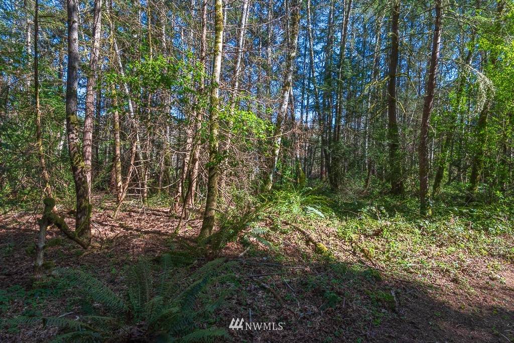 11305 Miller Road - Photo 1