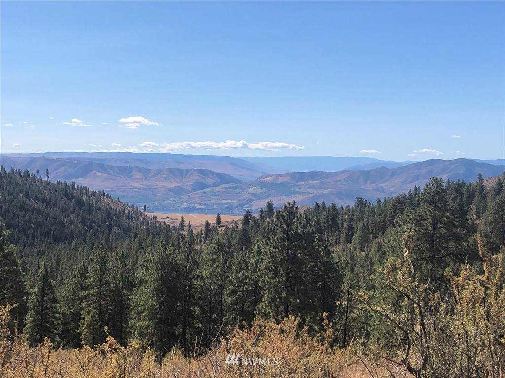0 xxxx Swanson Gulch Road - Photo 1