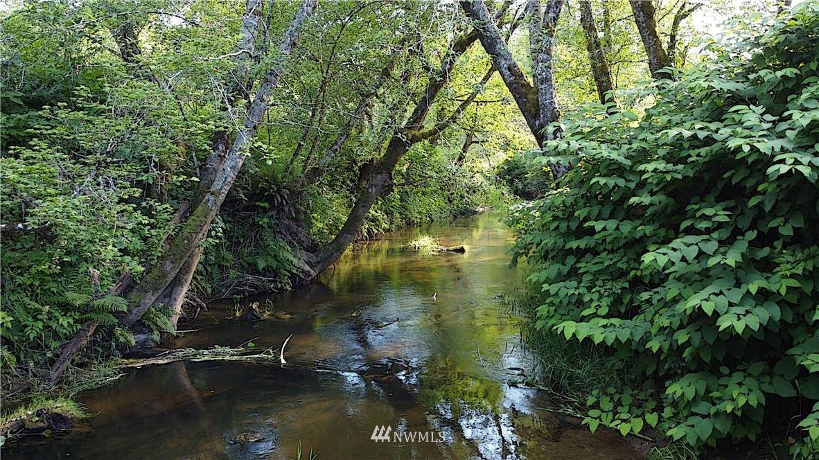 0 XX Black Creek Road - Photo 1