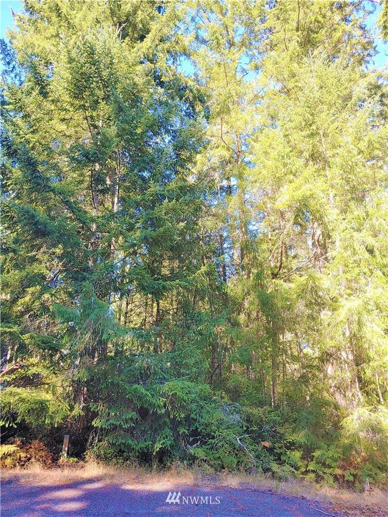 11808 Dogwood Place - Photo 1