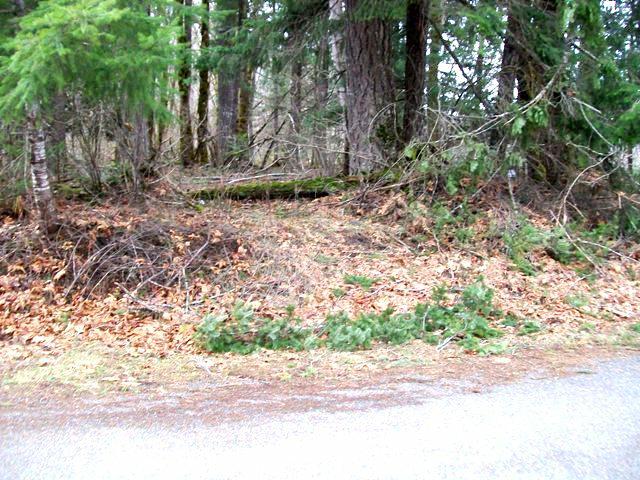 0-Lot 21 Holiday Lane - Photo 1