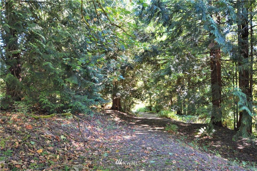 4116 Pleasant Hill Road - Photo 1