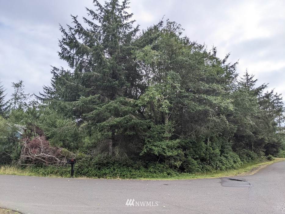 801 Vagabond Avenue - Photo 1