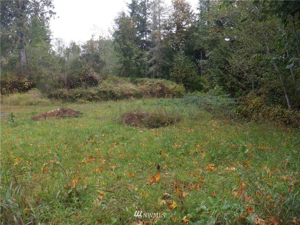 292002 A Sr 101 Highway - Photo 1