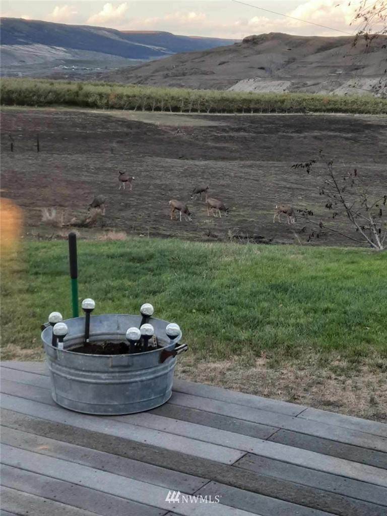0 Bridgeport Hill Road - Photo 1