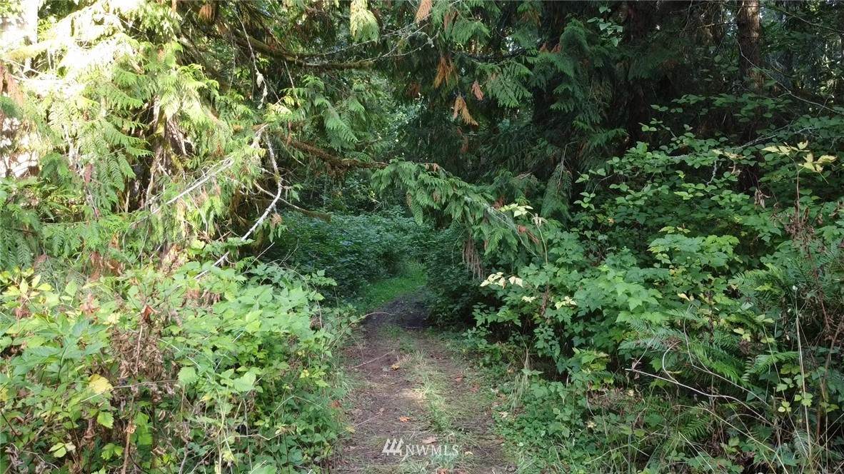 9999 Fors Road - Photo 1