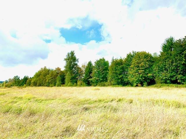 19419 Michigan Hill Road - Photo 1