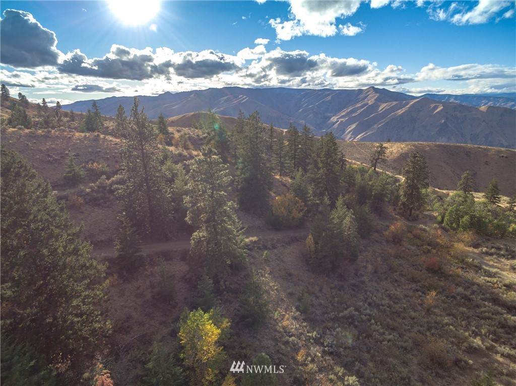 2205 Black Rock Road - Photo 1