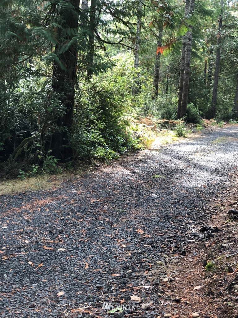 0 East Appaloosa Road - Photo 1