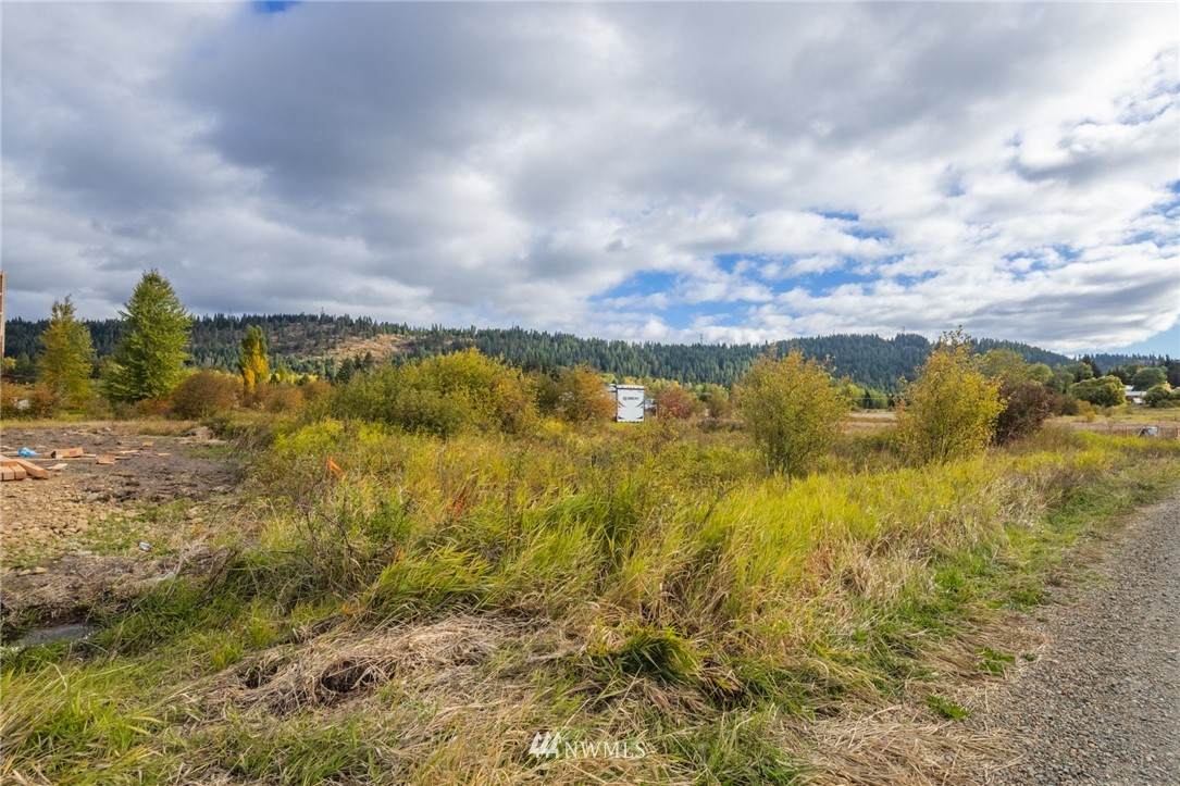 0 Lot 75 Three Lakes Road - Photo 1