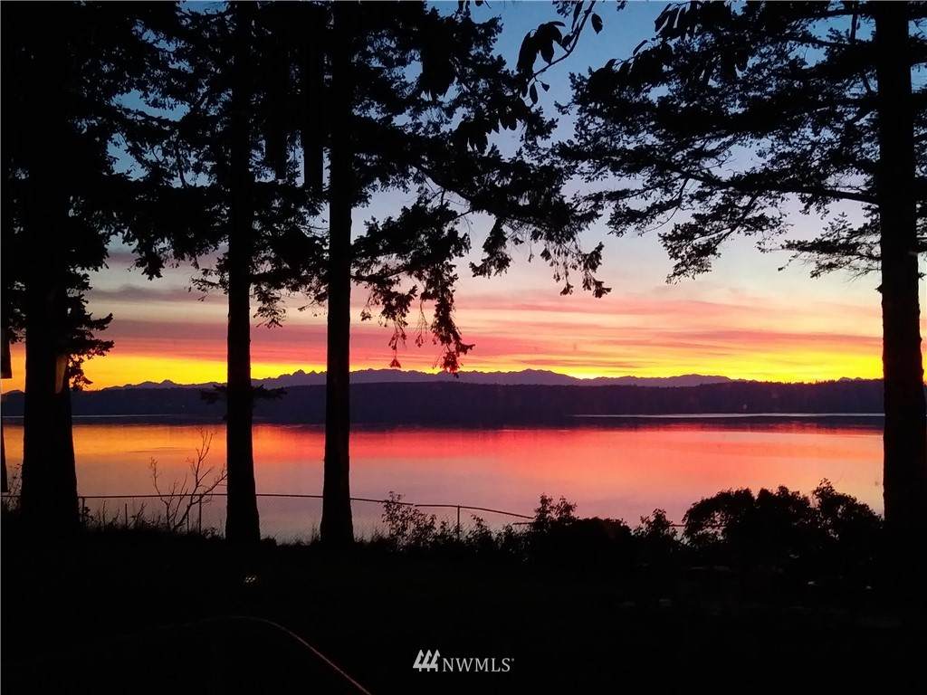 1254 West Camano Drive - Photo 1