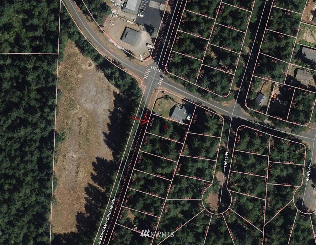 10217 Eckenstam Johnson Rd - Photo 1