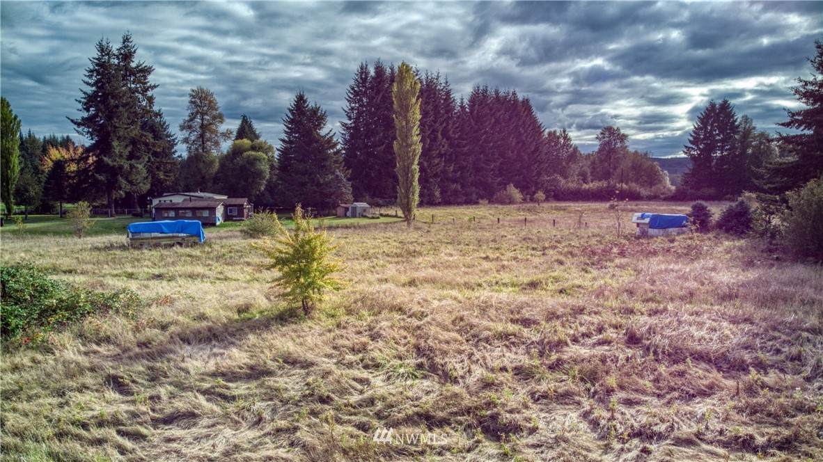 0 Satsop Riviera Loop - Photo 1