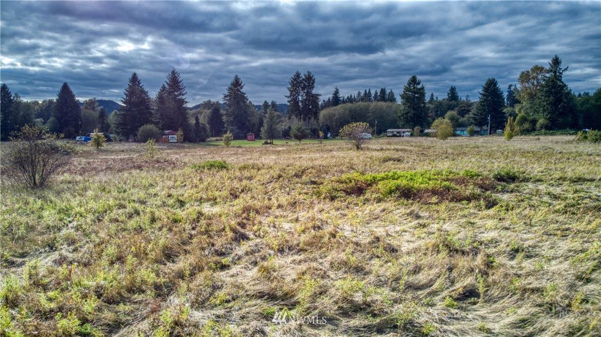 0 Satsop Riviera Loop - Photo 1