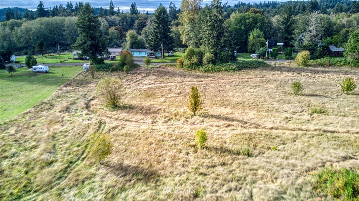 0 Satsop Riviera Loop - Photo 1
