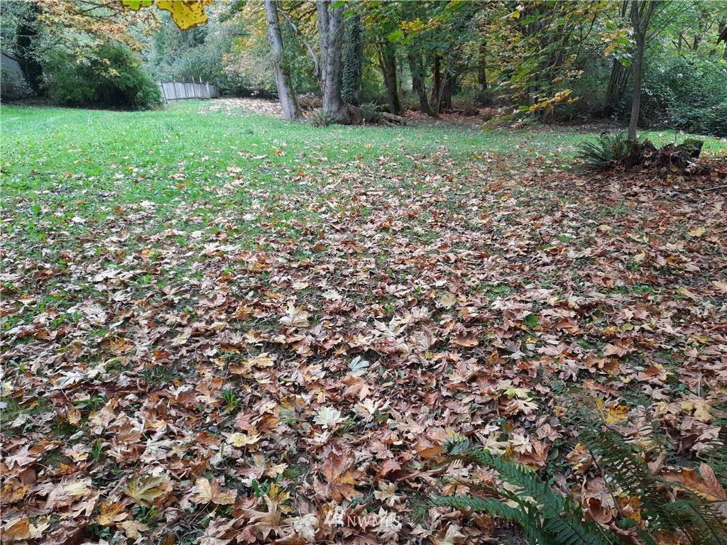 0 Cape Horn Drive - Photo 1