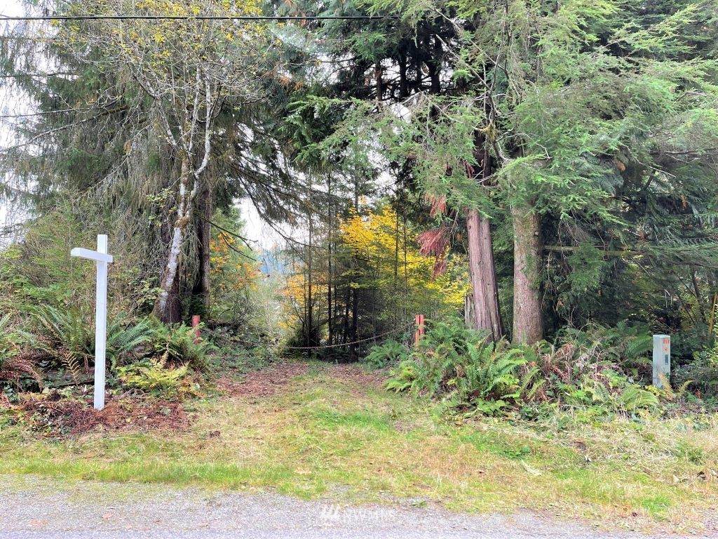 21 Lake Roesiger Road - Photo 1