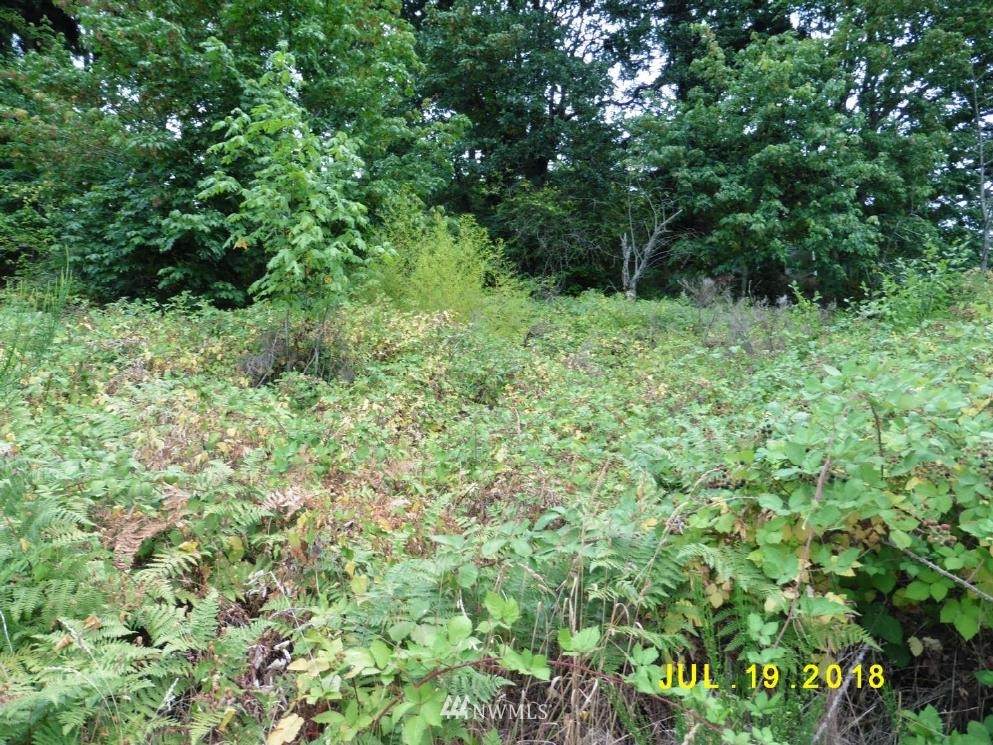 7029 Trafton Street - Photo 1